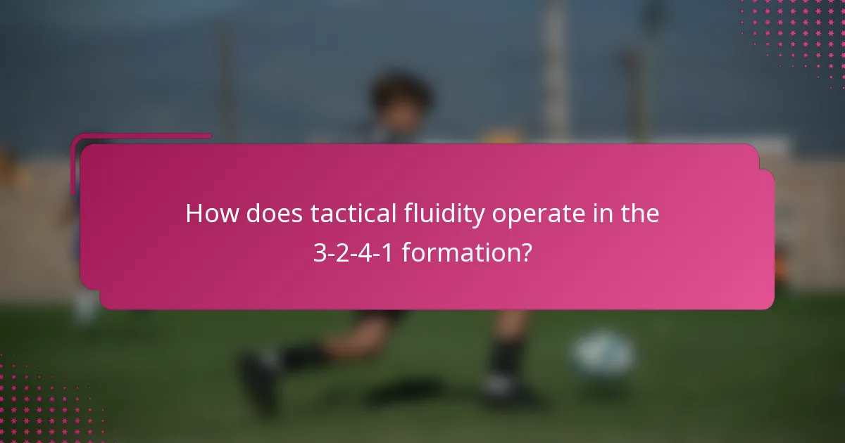 How does tactical fluidity operate in the 3-2-4-1 formation?