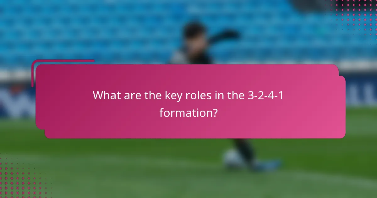 What are the key roles in the 3-2-4-1 formation?