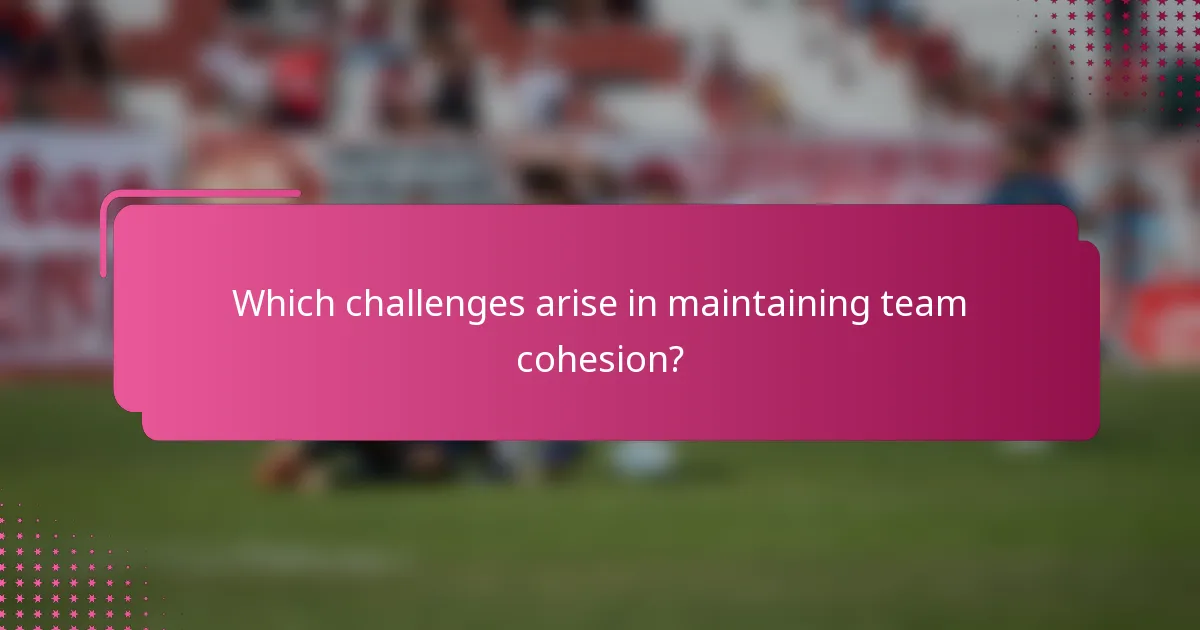Which challenges arise in maintaining team cohesion?